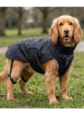 Reflective Dog Jacket